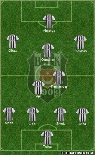 Besiktas JK Formation 2013