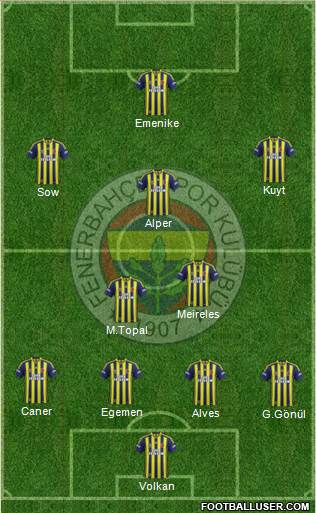 Fenerbahçe SK Formation 2013