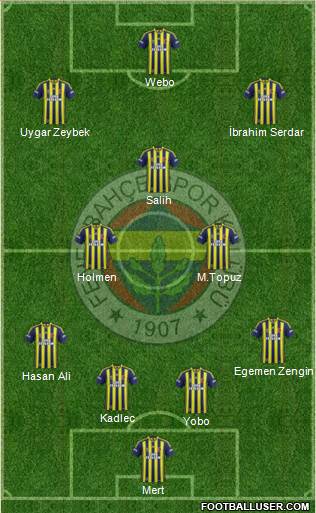 Fenerbahçe SK Formation 2013