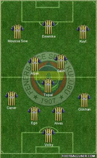 Fenerbahçe SK Formation 2013