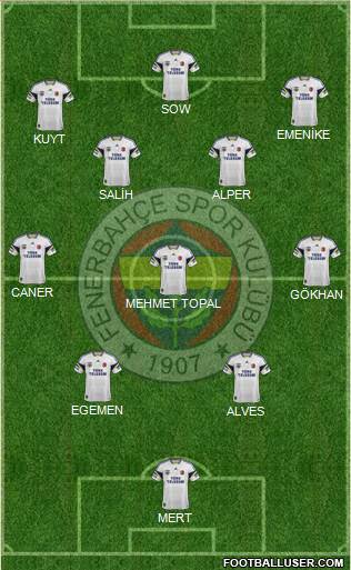 Fenerbahçe SK Formation 2013