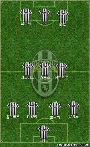 Juventus Formation 2013