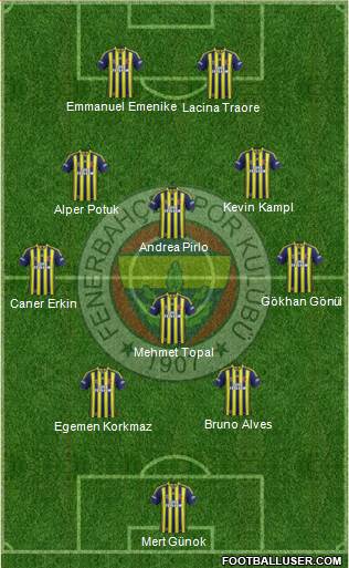 Fenerbahçe SK Formation 2013