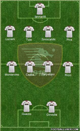 Salernitana Formation 2013