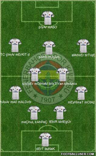 Fenerbahçe SK Formation 2013