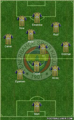 Fenerbahçe SK Formation 2013