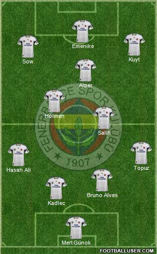 Fenerbahçe SK Formation 2013