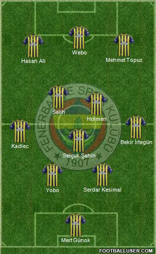 Fenerbahçe SK Formation 2013