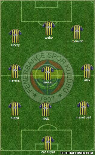 Fenerbahçe SK Formation 2013