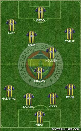 Fenerbahçe SK Formation 2013