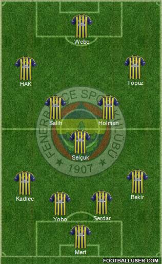 Fenerbahçe SK Formation 2013