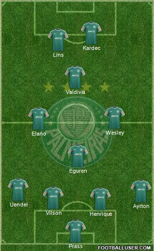 SE Palmeiras Formation 2013