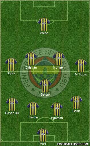 Fenerbahçe SK Formation 2013