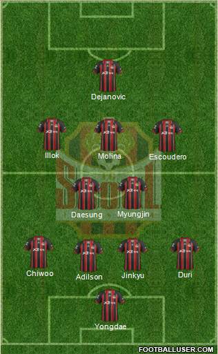 FC Seoul Formation 2013