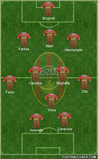 Ternana Formation 2013