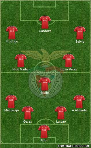 Sport Lisboa e Benfica - SAD Formation 2013