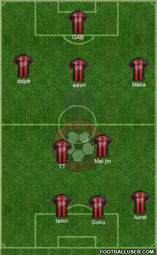 OGC Nice Côte d'Azur Formation 2013