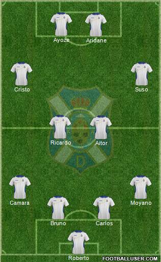 C.D. Tenerife S.A.D. Formation 2013