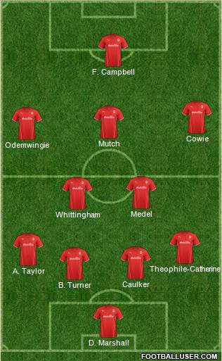 Cardiff City Formation 2013