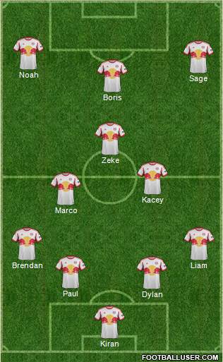 New York Red Bulls Formation 2013