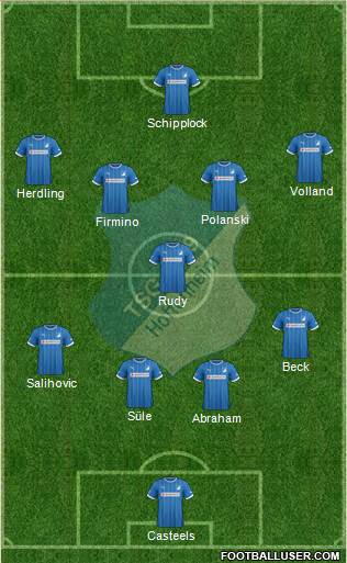 TSG 1899 Hoffenheim Formation 2013