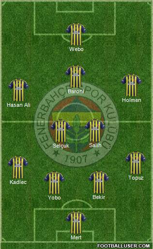 Fenerbahçe SK Formation 2013