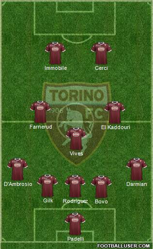 Torino Formation 2013