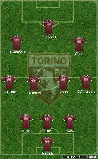 Torino Formation 2013