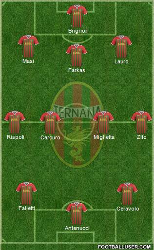 Ternana Formation 2013