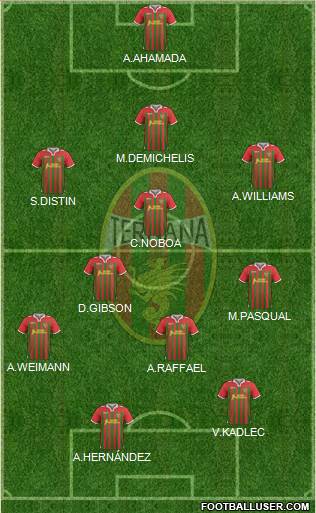 Ternana Formation 2013