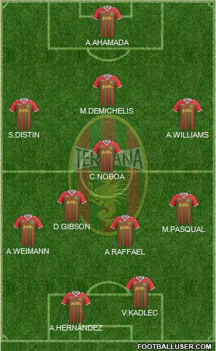 Ternana Formation 2013