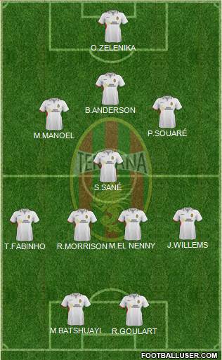 Ternana Formation 2013