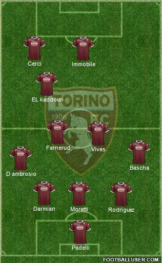 Torino Formation 2013