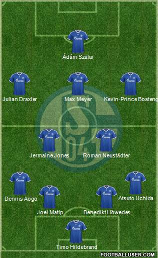 FC Schalke 04 Formation 2013