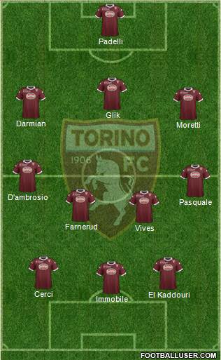 Torino Formation 2013