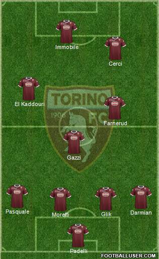 Torino Formation 2013