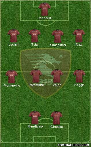 Salernitana Formation 2013