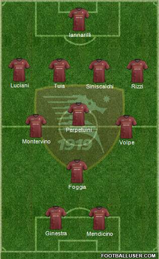 Salernitana Formation 2013