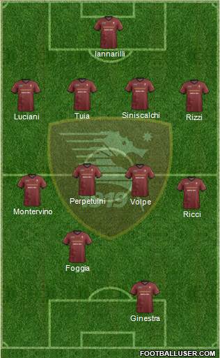 Salernitana Formation 2013