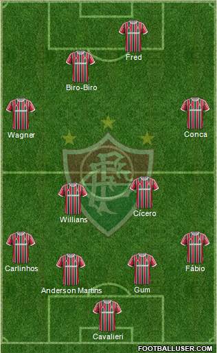 Fluminense FC Formation 2013