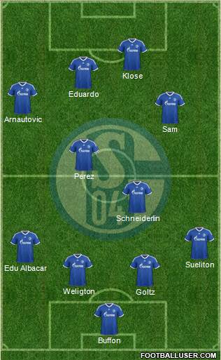 FC Schalke 04 Formation 2013