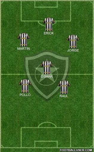 Botafogo FR Formation 2013