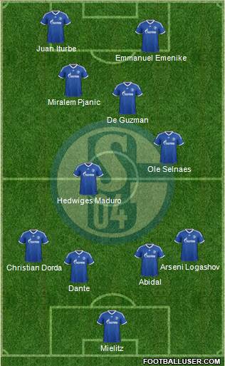 FC Schalke 04 Formation 2013