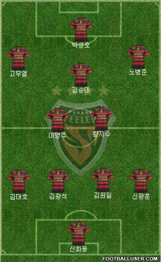 Pohang Steelers Formation 2013