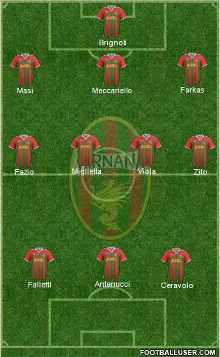 Ternana Formation 2013