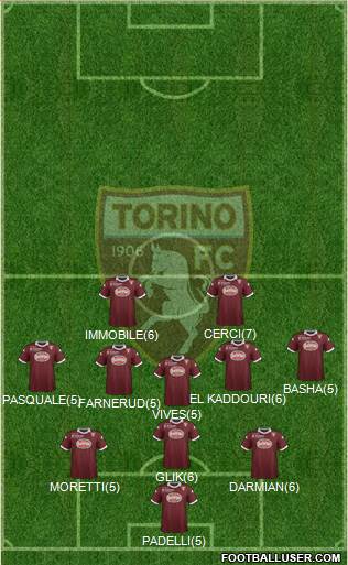 Torino Formation 2013