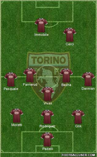 Torino Formation 2013