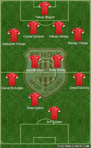 Pendikspor Formation 2013