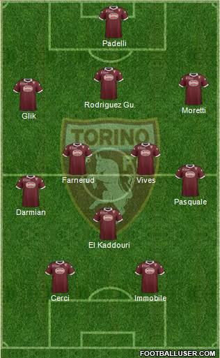 Torino Formation 2013