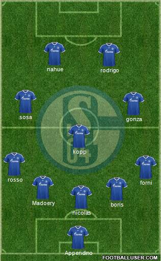 FC Schalke 04 Formation 2013